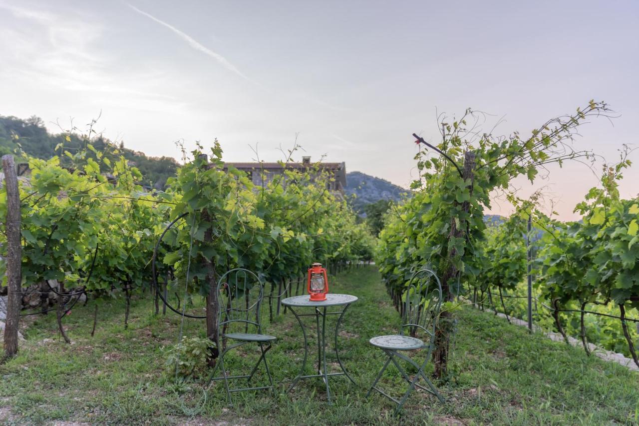 Apartments And Winery Djukovic Virpazar Ngoại thất bức ảnh